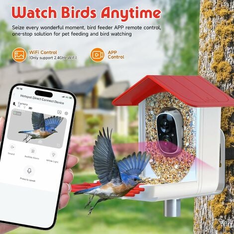 Mangeoire intelligente pour oiseaux avec caméra, vidéos d'oiseaux