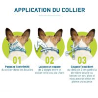 Chien – Collier Anti-Puces et Anti-Tiques pour Petits Chiens - Moins de 8KG, Versailles
