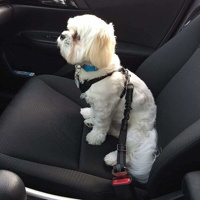 Lot : protection pour siège de voiture Trixie + ceinture de