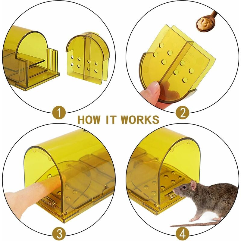 Cage Piège à Rat Vivant - 30 cm Grand - Réutilisable Piege a Rongeur - pour  Les Rats et Les Souris : : Jardin