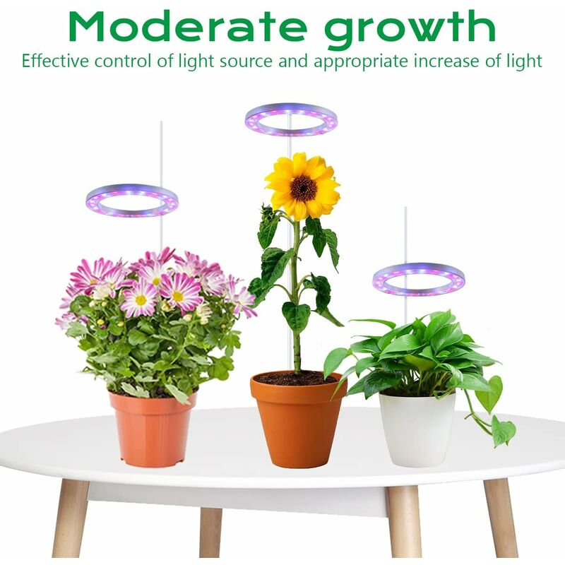 Lampe LED pour plantes / LED horticole vert pour poterie 