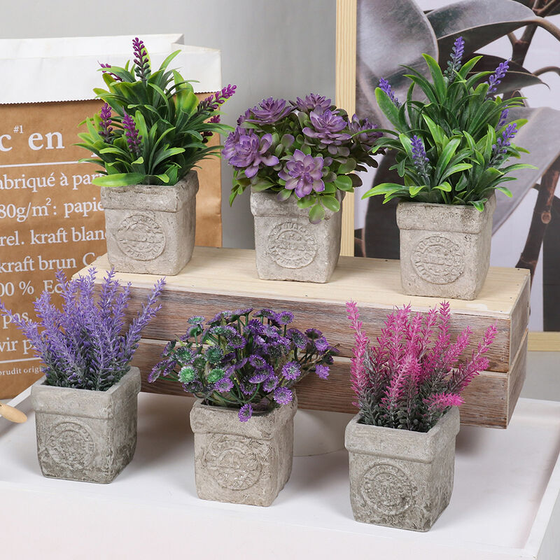 Mini plantes artificielles en pot Triomphe - Plantes artificielles - Pour  maison, bureau, cuisine, salle de bain, jardin Lot de 2