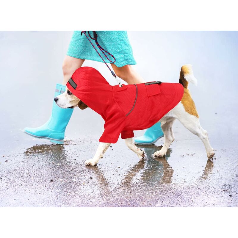 Imperméable pour Animaux De Compagnie Couleur Bonbon Bande Réfléchissante  Chien Imperméable Coupe-Vent Et Imperméable Chien Capuche Imperméable  Vêtements De Plein Air pour Animaux De Compagn : : Animalerie