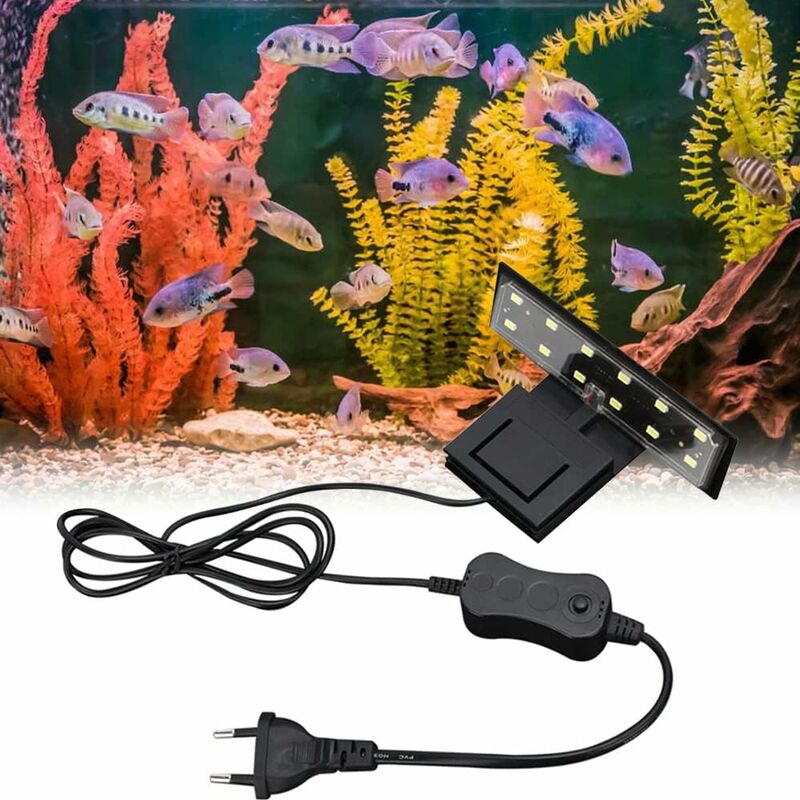 Lampe Aquarium, 5W Lumière Blanche Lampe à Pince pour Aquarium, 12 Perles  de Lampe LED LED Lampe Aquarium, Convient pour Aquarium de 6 mm d'épaisseur