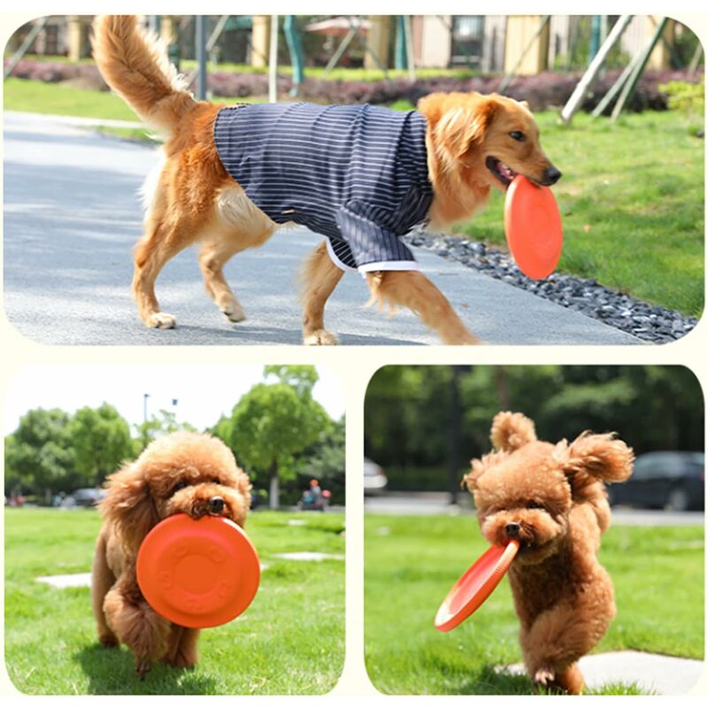 Frisbee pour chien, jouet Flyer pour chiot, réaction plus rapide, jouet  interactif d'entraînement pour chiens