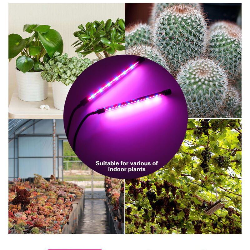 Lampe Horticole 80w, Tasmor Lampe Plante Intrieur 80leds 360