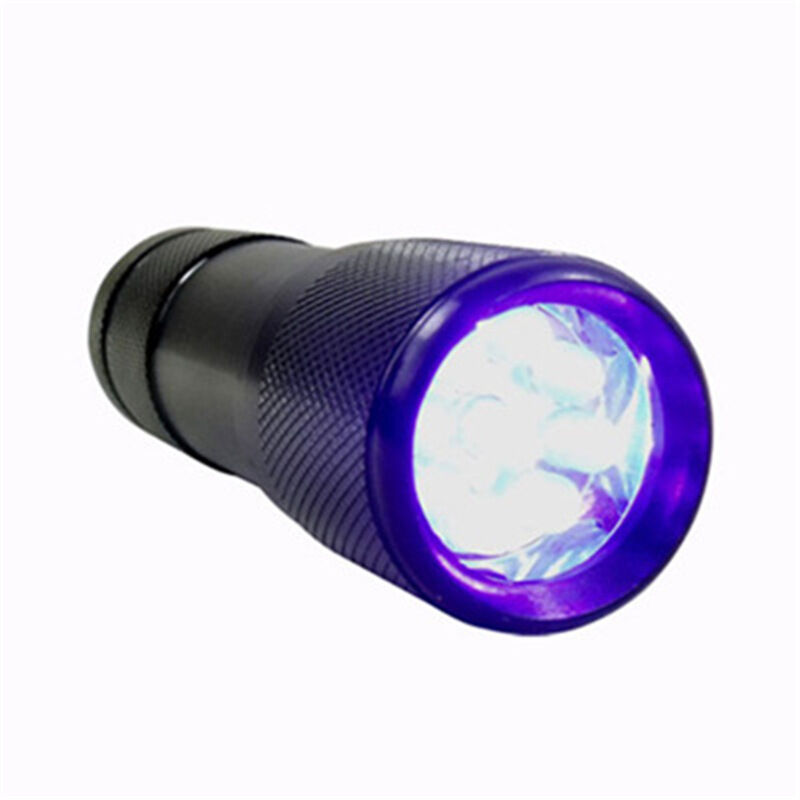 Ahlsen Lampe Torche UV, 21 LED Lampes de Poche UV avec Violet