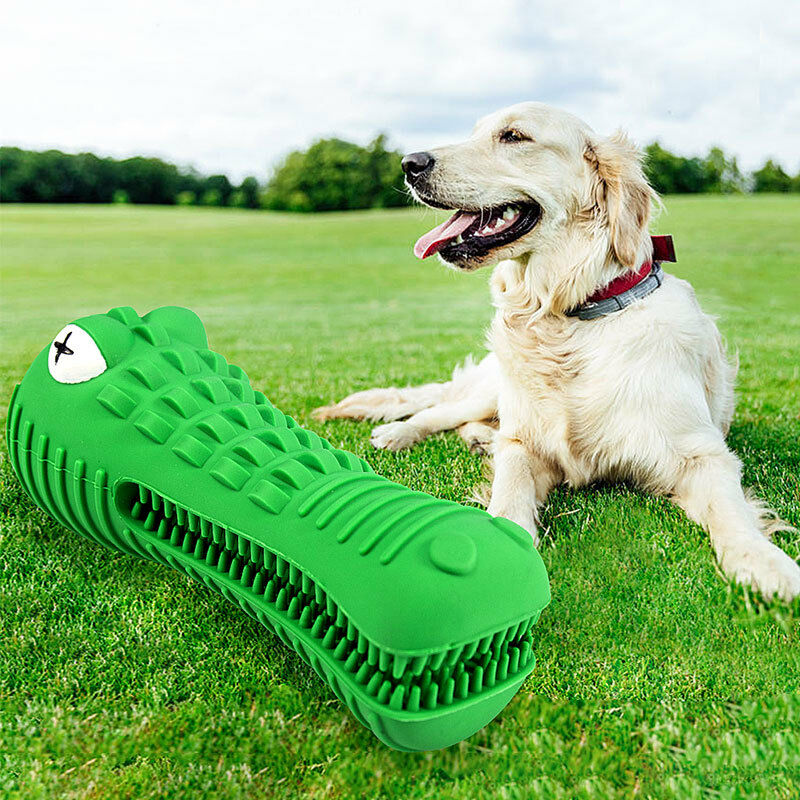 Jouet couineur pour chien en forme de crocodile, jouet interactif en  caoutchouc durable, jouet de dressage pour chien, jouet à mâcher, jouet de  dentition, cadeau pour chien 