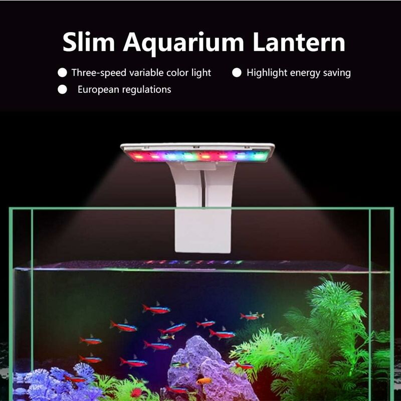 Lampe d'aquarium à spectre complet, petite lampe clip pour