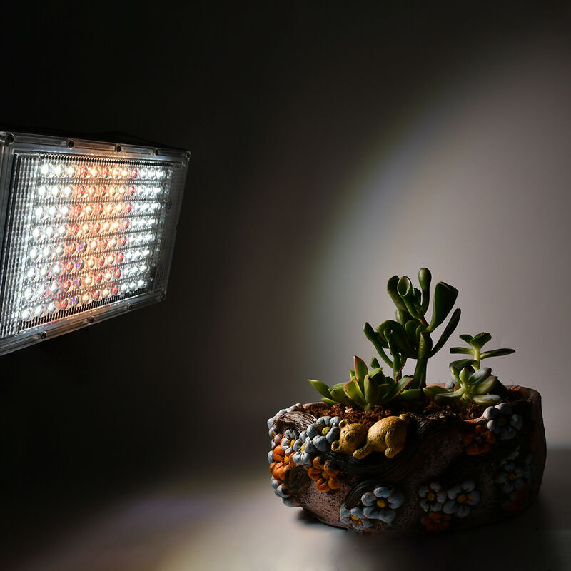 Led Horticole Grow Light - Cultiver des plantes saines à l'intérieur -  Horticultural Led Panel - Lampe UV de plante d'intérieur pour semis - Led  Grow Light Indoor 50w-1