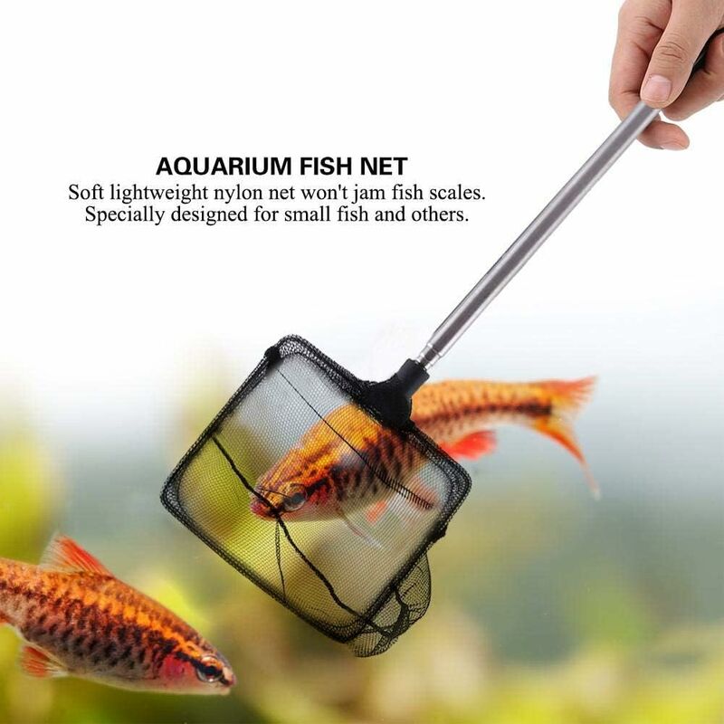 Filet de Pêche pour Aquarium avec Poignée Réglable (Cadre Rond) 22X7.4cm  Versailles