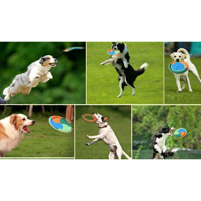 Frisbee pour chien, jouet Flyer pour chiot, réaction plus rapide, jouet  interactif d'entraînement pour chiens