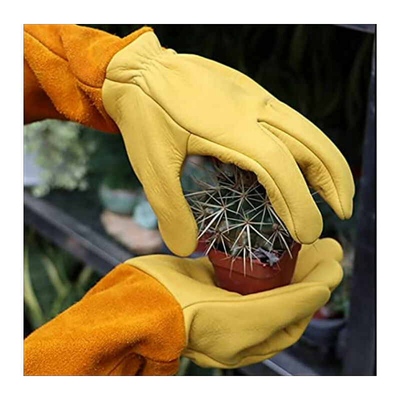Kit outils du jardinier Gants de jardinage en cuir résistants à la