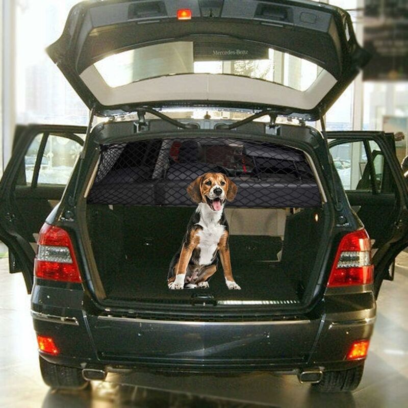 Barrière d'isolation de voiture pour chiens - ABC chiens