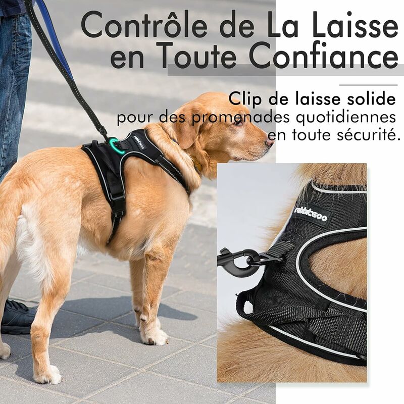 XL - Y-camo - Harnais de POLICE K9 pour chien, longueur réglable, pas dans  la marche, gilet pour animaux de c