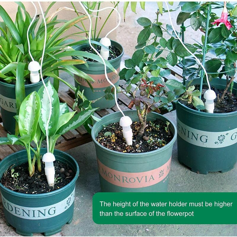 Piquets d'arrosage classiques pour plantes Piquets d'arrosage