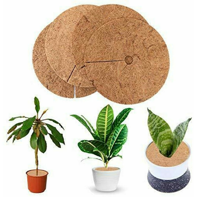 Lot de 6 coussinets protecteurs d'arbre en fibre de coco, 60,96 cm