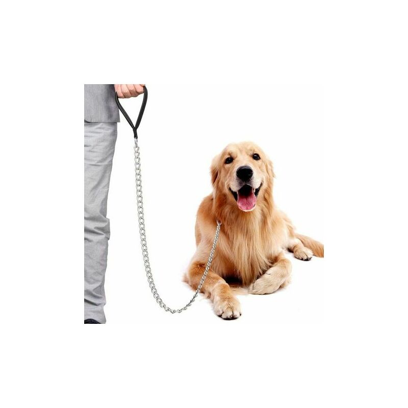 Laisse en Metal Antirouille pour Chien Durable Lead Leash