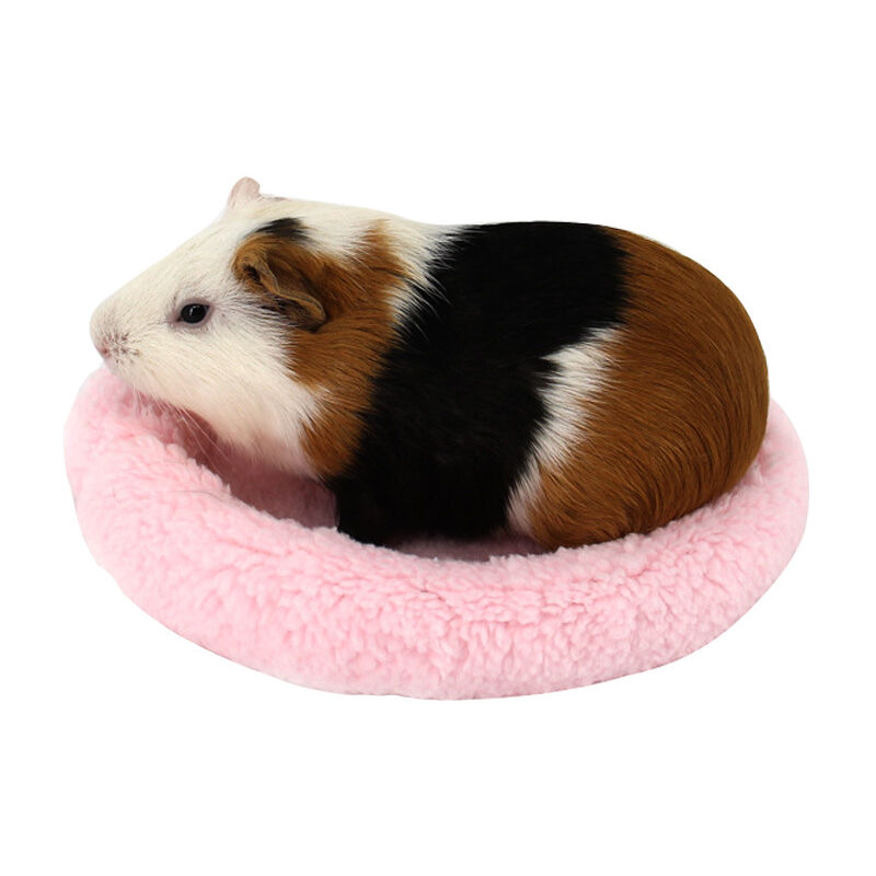 Maison de nid de coton d'hiver pour hamster nain Mignon Souris Chaud Pet  Hamster Lit Canapé Nest Mini Lit Doux