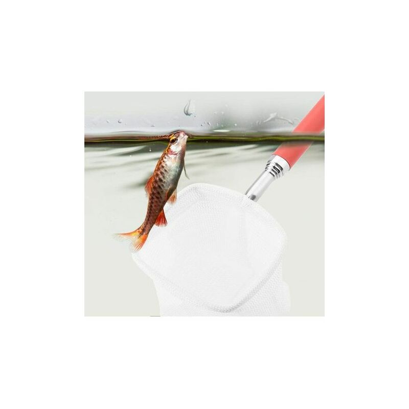 Filet de pêche Extensible Télescopique Poisson Crevettes Écrémage Net  Poignée en Carrée 19-55 cm Rouge