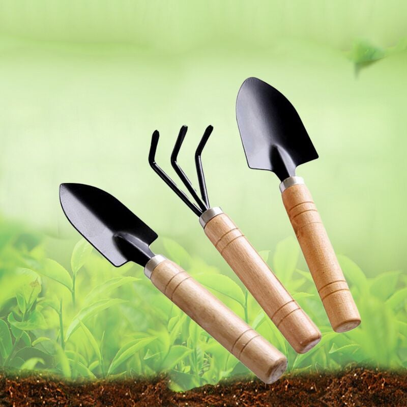 Ensemble de 3 pelles de jardin - Pelle à main - Râteau à main - Mini outils  de jardinage d'intérieur - Pour plantes d'intérieur, fleurs, bonsaï :  : Terrasse et Jardin