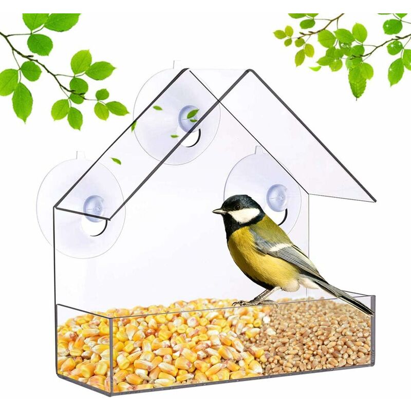 Mangeoire à oiseaux de jardin avec ventouses puissantes pour fenêtre  transparente : : Jardin