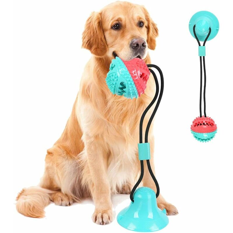 Lot de 12 balles de tennis pour chien. Animalerie Morin France :  accessoires , ballons et jouets pour chiens et chiots