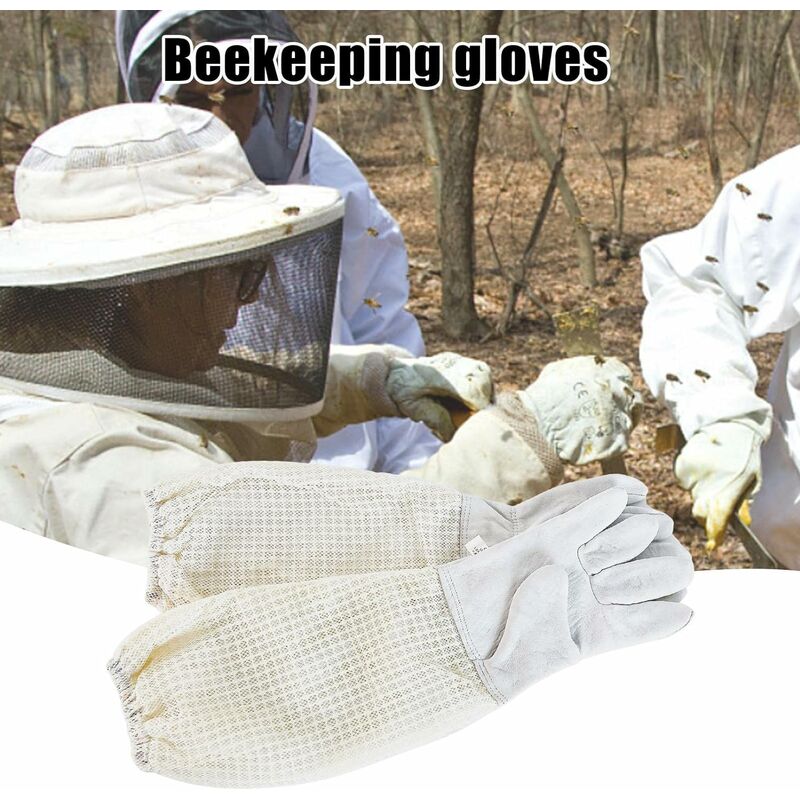 Kit d'outils pour l'apiculture, en acier inoxydable, plastique, bois,  fumeur, grattoir, brosse d'abeille, débutant, pour amateurs d'apiculture,  10