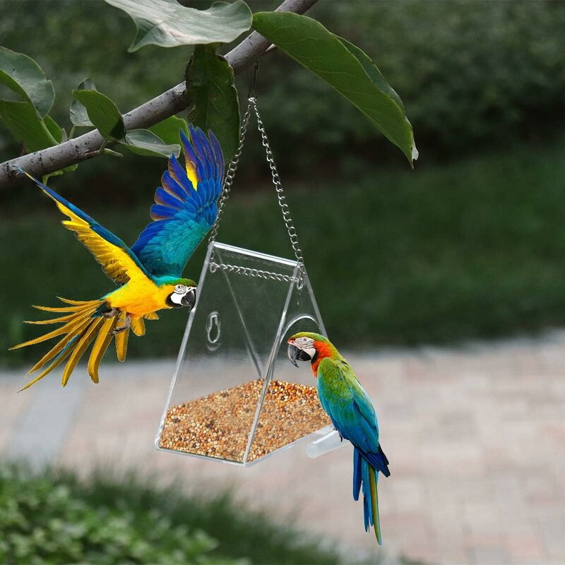 Mangeoire à oiseaux transparente pour fenêtre, maison pour oiseaux  sauvages, étanche à la pluie, acrylique, ventouse