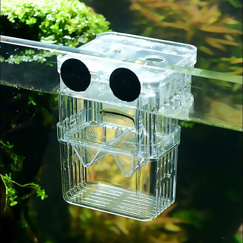 Colle De Mousse, Protection De L'environnement Portative De Colle D'herbe  D'eau Pour L'aquarium Pour La Pierre 