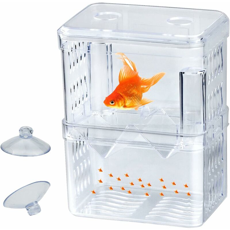 Stérilisateur UV aquarium – Mes petits poissons