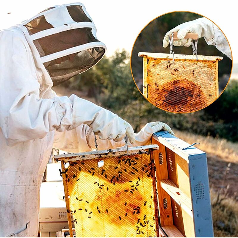 Extracteur de miel électrique VEVOR extracteur d'abeilles à 3 cadres en  acier inoxydable avec support équipement d'apiculture