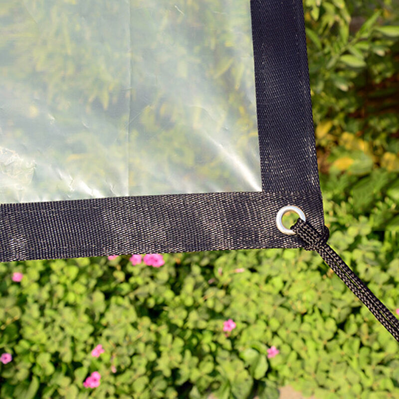 Couverture de Protection UV pour plantes succulentes, transparente