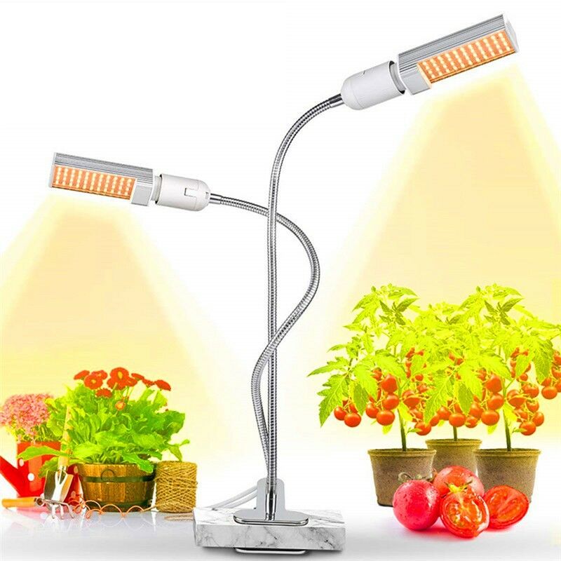 Lampe horticole de croissance LED 10W, avec minuterie 3/6/12H, 5