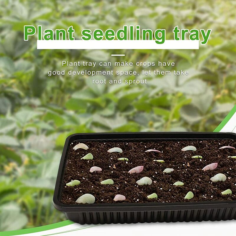 bacs à graines en plastique avec dôme dhumidité et kit de démarrage pour semis en serre Wyi Lot de 3 plateaux de semis 40 cellules avec trous de drainage 