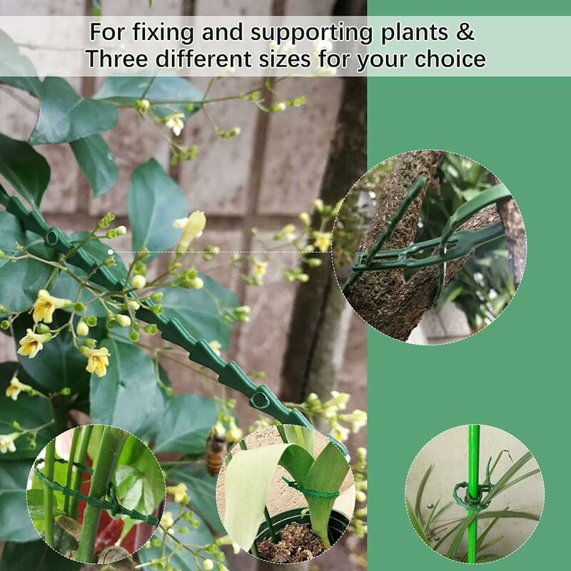 Fil De Serrage Rouleau de 20 m/Vert Support De Fixation De Plante 2,0 IMAGINE Support De Plante Fil Souple Noir Blanc Vert 