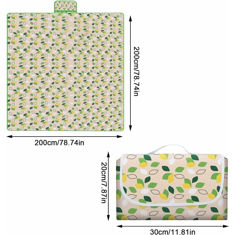 Tapis de sol de camping en aluminium - 200 x 150 cm - Isolant thermique et  imperméable - Pliable - Double face - Ultraléger - En feuille d'aluminium :  : Sports et Loisirs