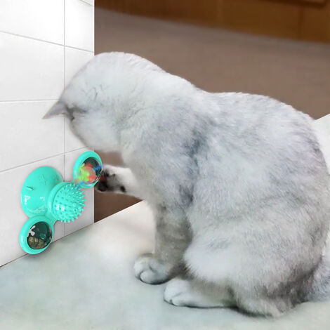 Jouet électrique interactif en peluche pour chatons - Adorables chats  électriques pour enfants - Course de chat - Jouet pour animaux de compagnie