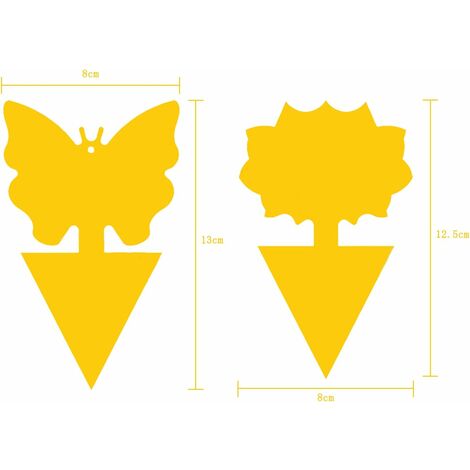 60 Pièces Pièges À Insectes, Attrape Moucheron Plantes,Double Face