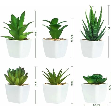 Plantes Artificielles D'intérieur Diverses Succulentes En Pots