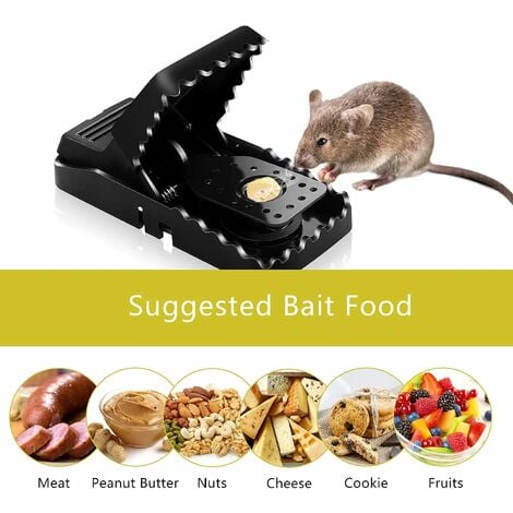 Tapette à souris et à rats, comment les utiliser ? 