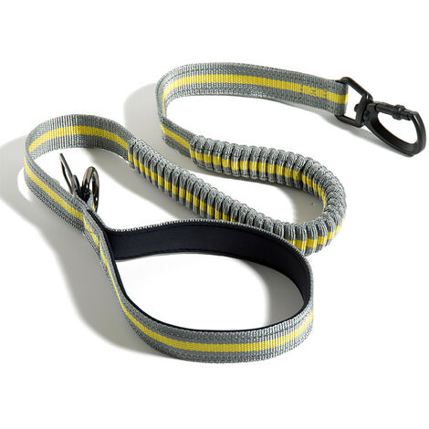 Laisse pour Chien Solide,Laisse Dressage Chien Nylon 1.5M avec Confort  Poignée Rembourée,Laisse Moyens Grands Chien Laisse Anti Traction Chien  avec Boucle de Ceinture de Sécurité : : Animalerie