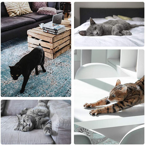 Protecteur de meubles anti-rayures pour chat, protection de canapé