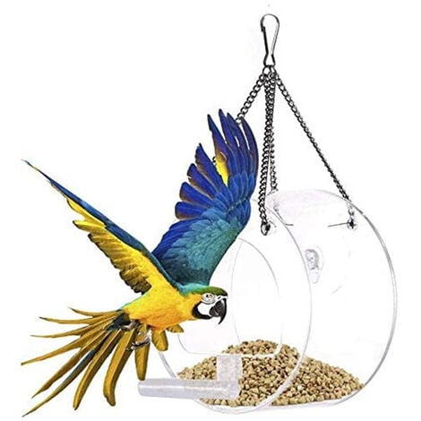 Mangeoire à oiseaux en acrylique transparent alimentant le bol pour animaux