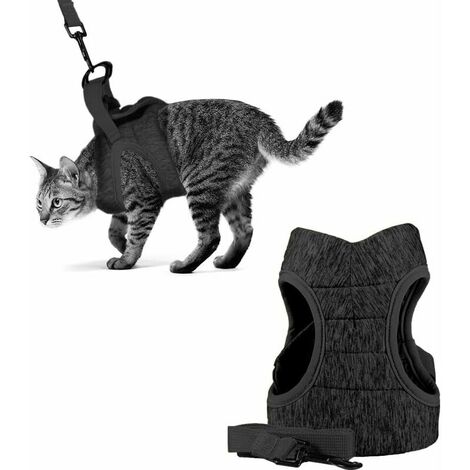 Harnais réglable anti-éclatement pour chat avec laisse - Harnais souple  pour chat - Harnais de poitrine pour chat - Chiot - Gris M : :  Animalerie