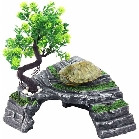 Reptile cachant des grottes lézard tortue abri arbre trou résine