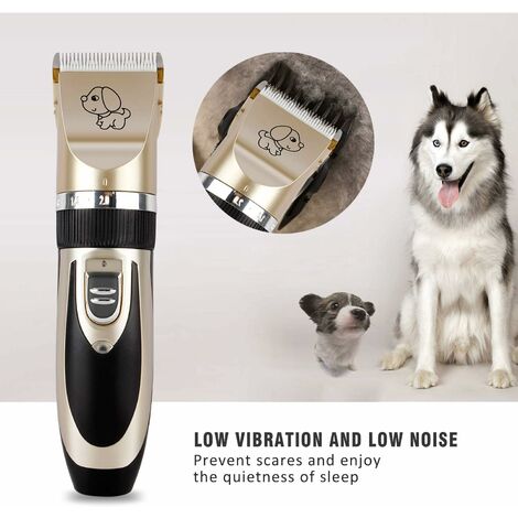 Tondeuse Chien Chat Professionnelle Tondeuse Animaux Tondeuse  Professionnelle pour Chien et Chat Lames en Céramique Fil Rechargeable avec  4 Peignes Adaptable