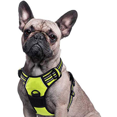 Dog Harnais Anti-Traction réglable Harnais de Poitrine Oxford en Nylon  réfléchissant pour Grands, Moyens et