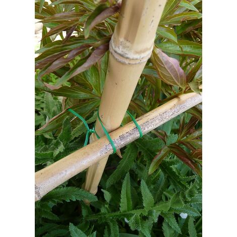 50 m fil de fer jardinage plastifie vert avec système de coupage pratique