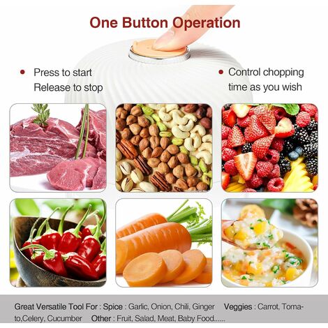 Hachoir électrique Ail Oignon Cutter Fruit Meat Multi Chopper avec charge  USB 250ml